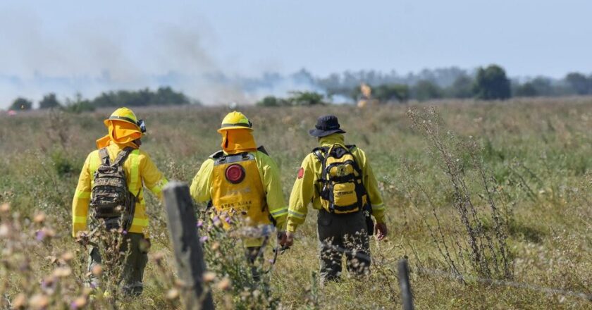 La ministra de Ambiente resaltó el abordaje de incendios. Cómo funciona el Consejo para el Manejo del Fuego en la Provincia de Buenos Aires