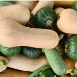 Inscripción a voluntariados gratuitos de agricultura urbana