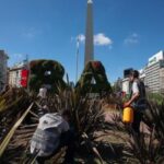 Control de plagas: acciones permanentes para todos los porteños