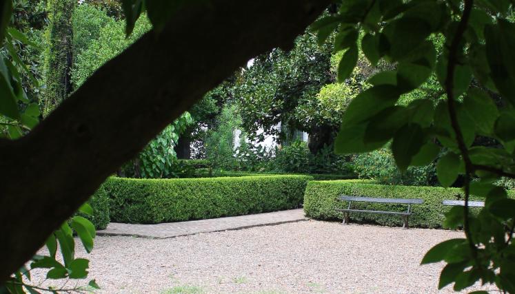 ¡Juguemos bajo el ombú!