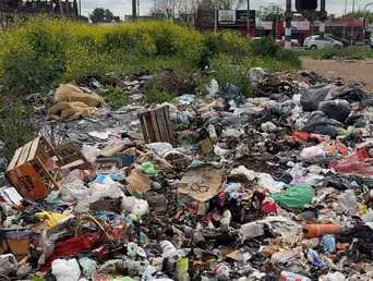 La agencia DIB renovó sus autoridades